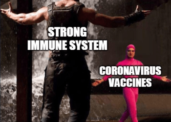 The power of the immune system