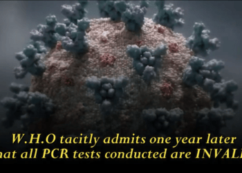 The WHO Confirms that the Covid-19 PCR Test is Flawed