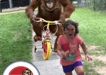 The block of Facebook