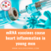 mRNA vaccines cause heart inflammation in young men