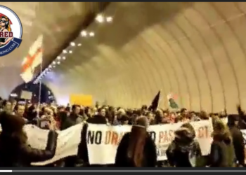 Flags flown in solidarity with nations in the same fight in Genoa as they mass protested against covid passports and mandates.