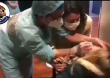 Covd test Child Abuse!!