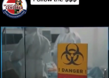 The criminal covid money trail!