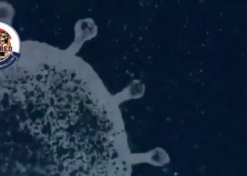 BBC admits they use HIV to make the covid vaccine