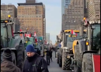 Downtown Toronto is now being locked down by farmers. The workers of the world are uniting – just not in the way the globalists hoped.