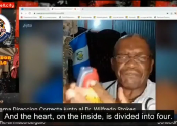 Dr. Wilfredo Stokes explains how graphene oxide generates arrhythmias