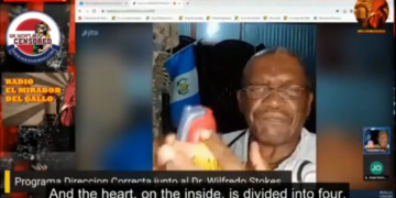 Dr. Wilfredo Stokes explains how graphene oxide generates arrhythmias