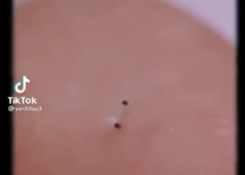 Cell sized robots‼️Also found in the new covid vaccines.