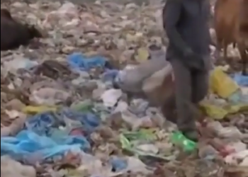 COVID-19 waste worldwide: