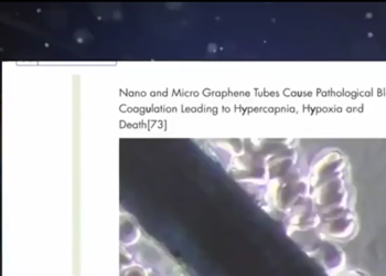 Here’s What Real Scientists Have Been Warning About Vaccines