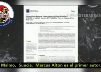 A Swedish study published in MDPI found that the Pfizer vaccine goes into liver cells and converts to DNA, challenging claims so far that the mRNA COVID-19 vaccines do not change or interact with your DNA in any way.