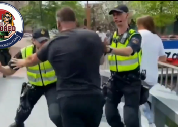 Child screams as Dutch police baton the public in Almelo who have gathered in support of the Dutch farmers mural reading “no farmers, no food” which the mayor has ordered to be removed.