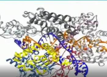 18:28   A WEF presentation from 2015  explaining how to change the human genome using mRNA. Still, the media mocks those who point this out!
