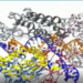18:28   A WEF presentation from 2015  explaining how to change the human genome using mRNA. Still, the media mocks those who point this out!