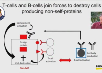 Dr. Sucharit Bhakdi explains how the immune system works and why mRNA injections would have never worked.